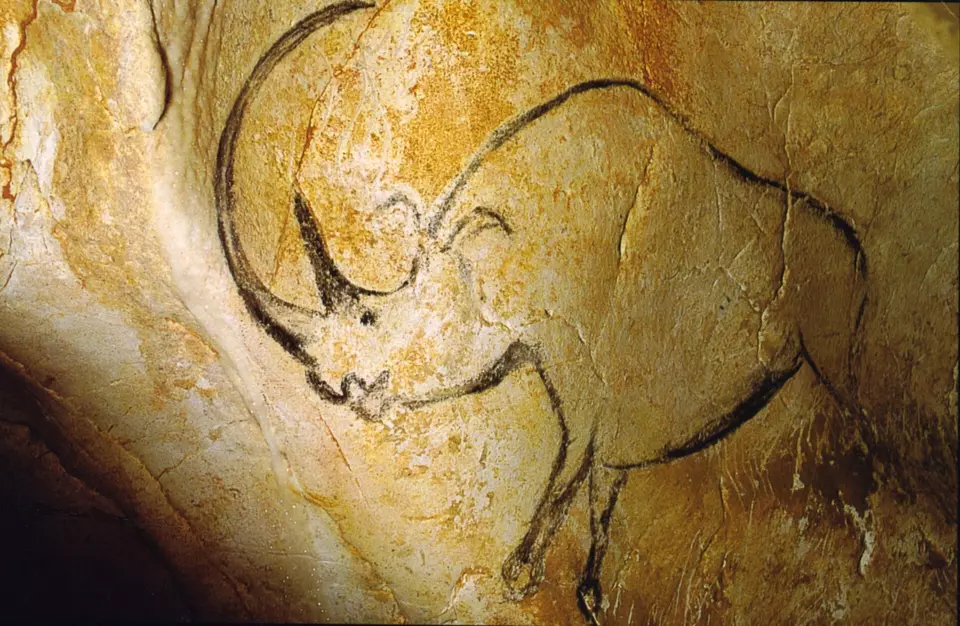 Rhinocéros grotte Chauvet
