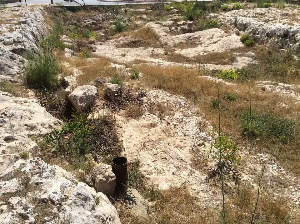 Ornières de chars de Mġarr taillées dans la roche calcaire maltaise