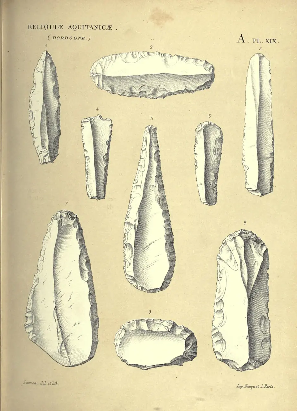 Planche ancienne de 1875 montrant huit outils de silex taillés retrouvés à Cro-Magnon