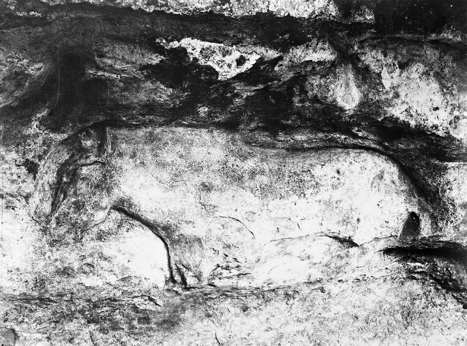 Cheval sculpté en haut-relief sur la paroi de l'abri de Cap Blanc à Marquay, cliché ancien en noir et blanc
