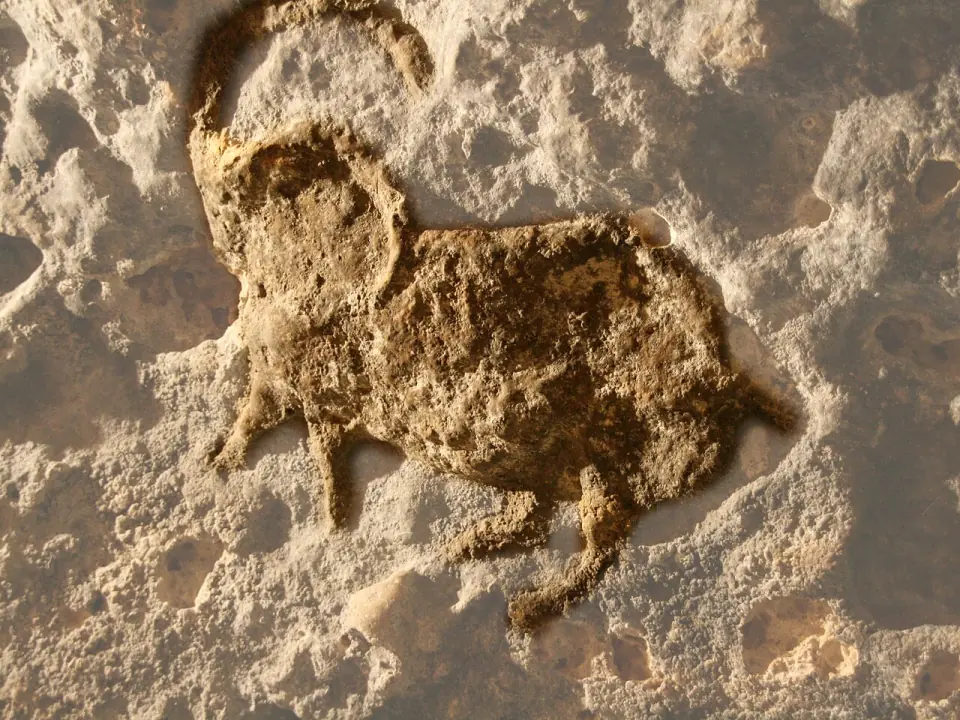 Bouquetin gravé de style solutréen à l'abri Pataud, vieux d'environ 21 000 ans