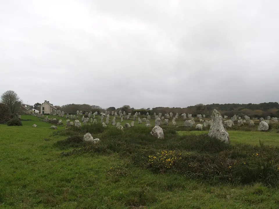 Champ de menhirs de Carnac sous un ciel gris, avec des fleurs jaunes au premier plan