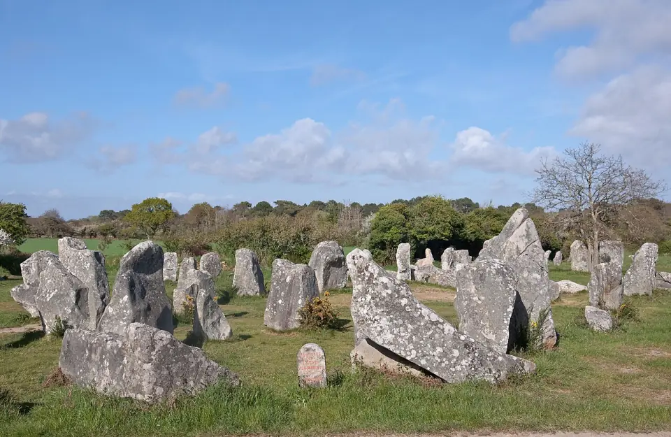 Files de menhirs de l'alignement de Kerzérho, à Erdeven, sous un ciel bleu