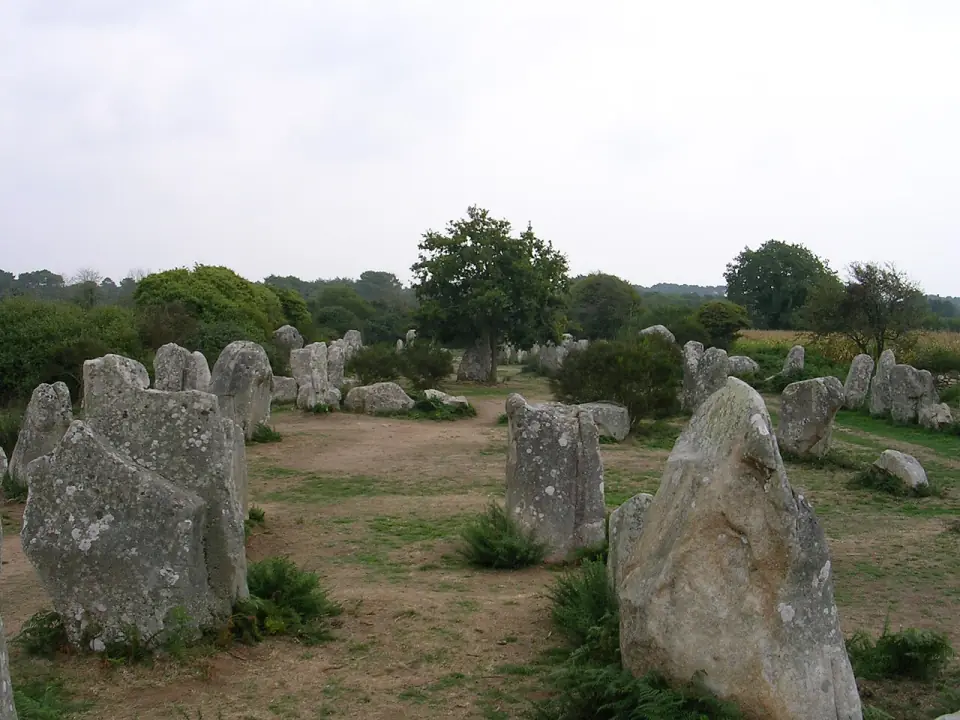 Grands menhirs en premier plan et alignement de pierres dressées dans un pré, à Kerzérho