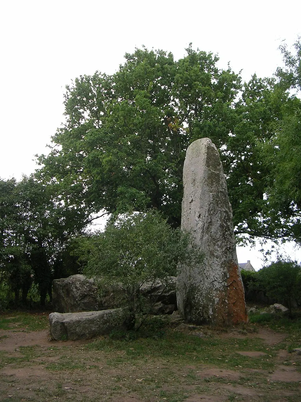 Grand menhir dressé sous un arbre, avec des blocs couchés à son pied, à Kerzérho