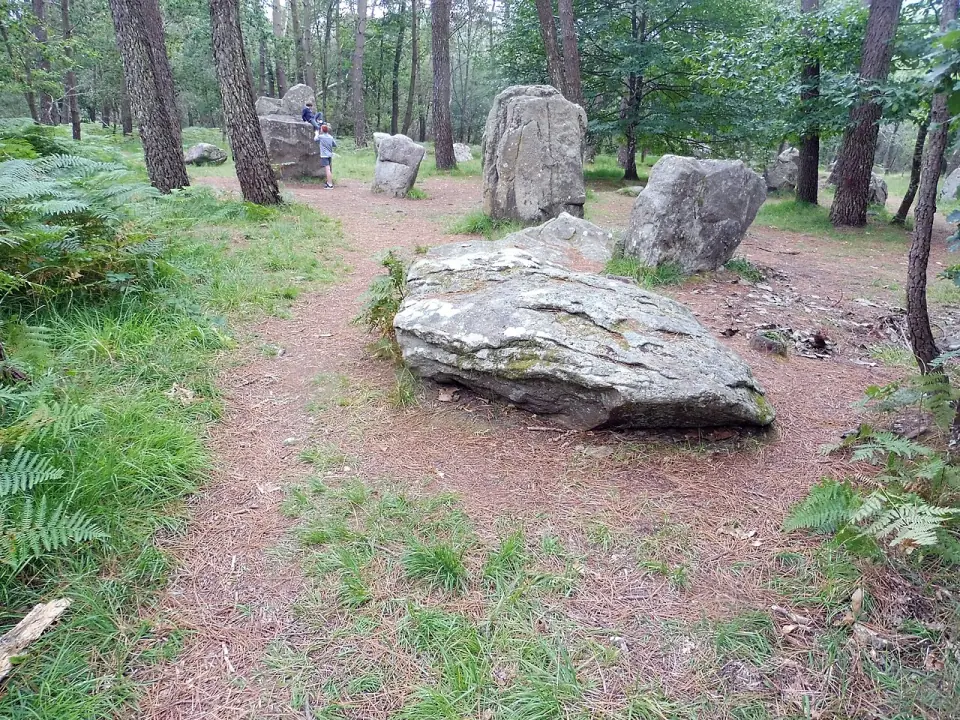 Vue partielle de l'alignement de la Chaise de César, sur le circuit des mégalithes d'Erdeven