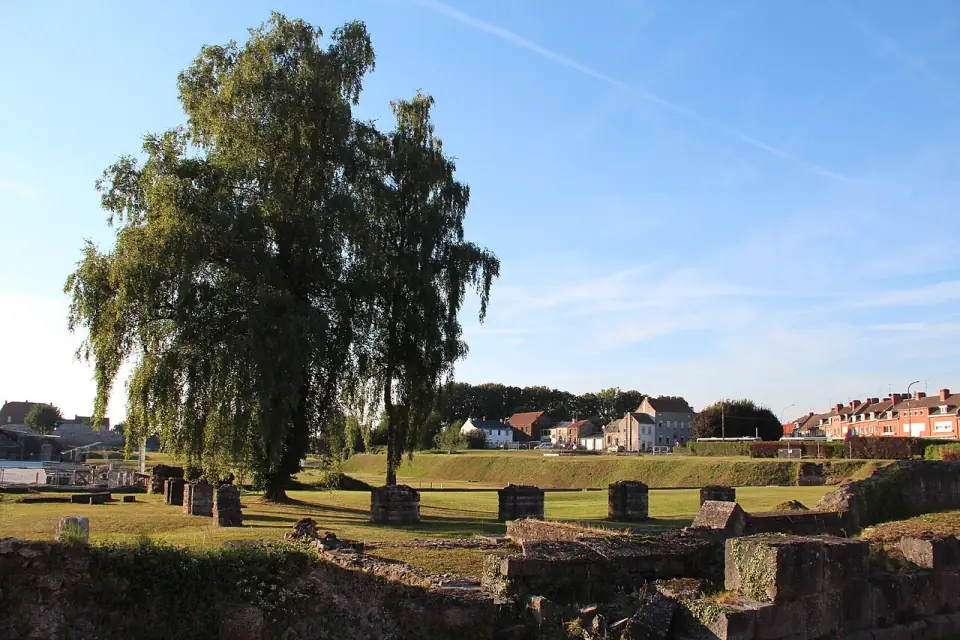 Vestiges du forum de Bavay et grand saule, avec les maisons de la ville au fond
