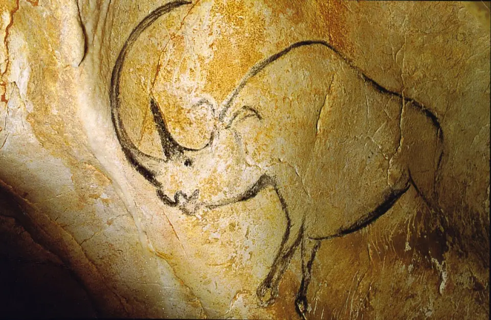 Rhinocéros laineux dessiné au fusain sur une paroi ocre de la grotte Chauvet