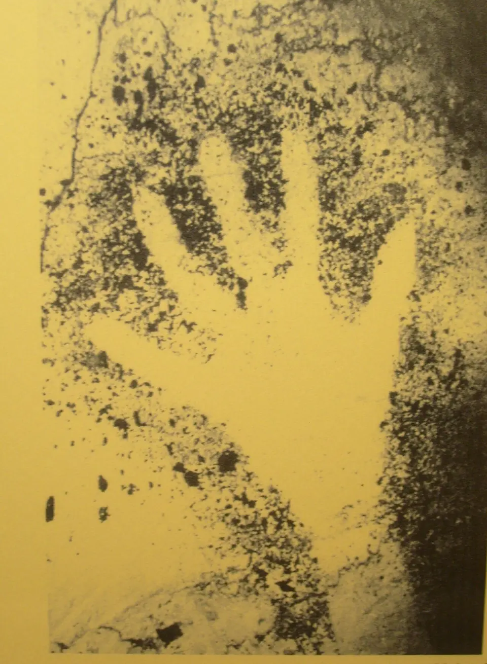 Contour d'une main négative noire sur une paroi, issu de la grotte Cosquer