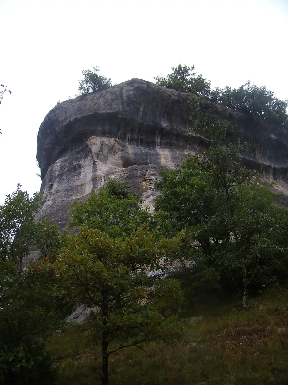 Falaise calcaire des Eyzies, dans la vallée de la Vézère, où s'ouvre la grotte de Font-de-Gaume