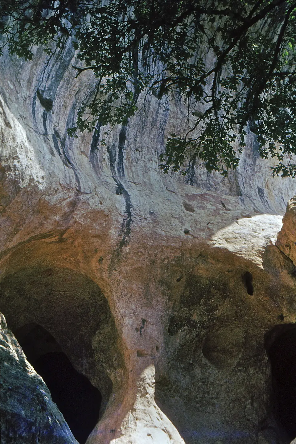 Devant l'entrée de la grotte de Font-de-Gaume, aux Eyzies, sur un cliché des années 1970