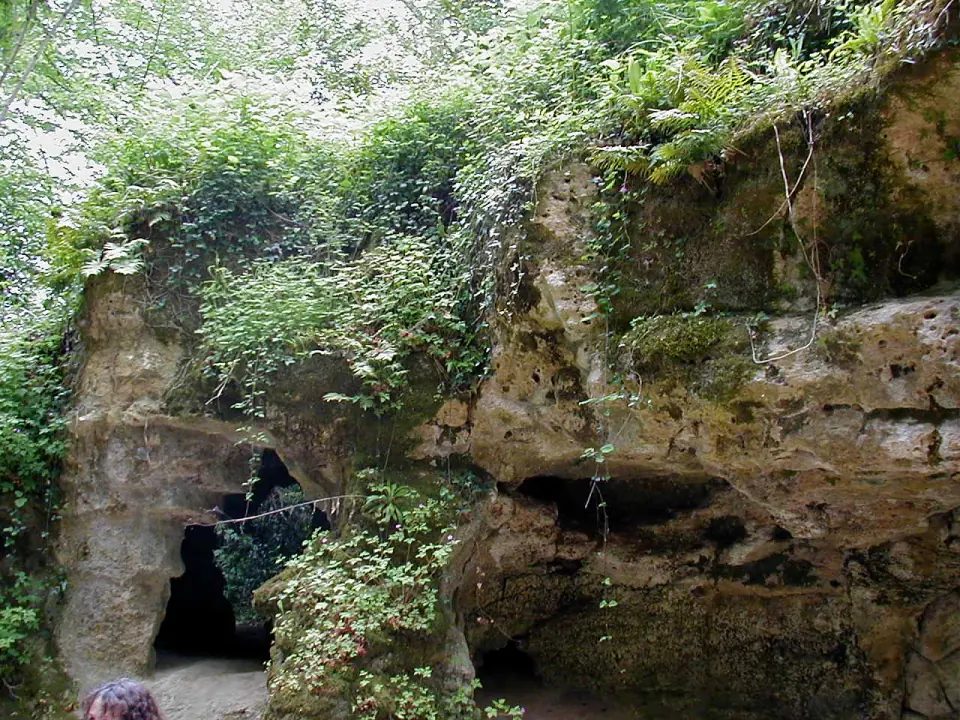 Entrée de la grotte de Pair-non-Pair à Prignac-et-Marcamps, en Gironde