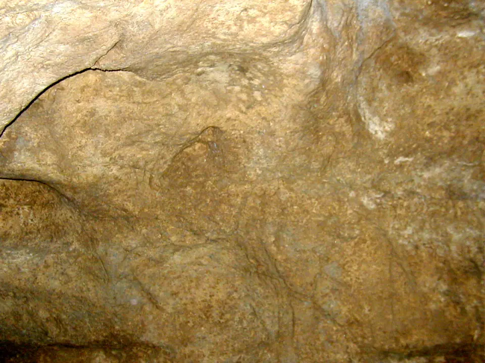 Gravure de mammouth sur la paroi de la grotte de Pair-non-Pair