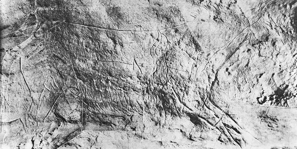 Chevaux et bison gravés dans la paroi de la grotte des Combarelles, près des Eyzies
