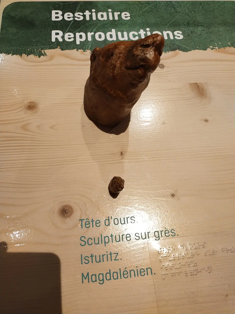Reproduction 3D d'une tête d'ours d'Isturitz, présentée à échelle réelle et agrandie