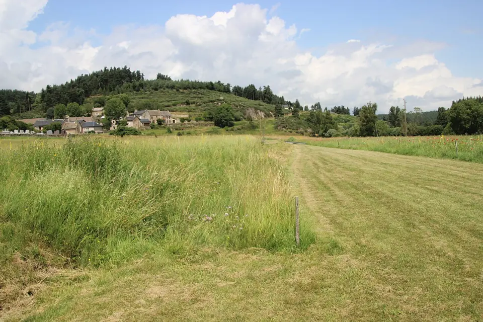 Site d'Anderitum à Javols : bandes tondues sur l'emplacement des rues antiques, village et colline au fond