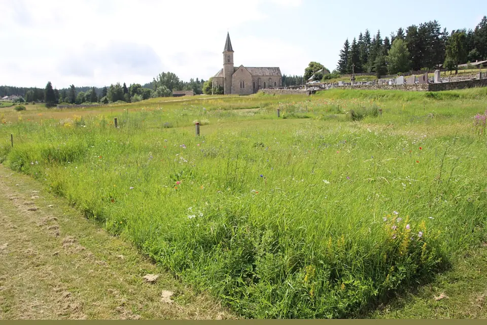 Prairie fleurie de Javols où se trouvait Anderitum, avec l'église du village à l'arrière-plan