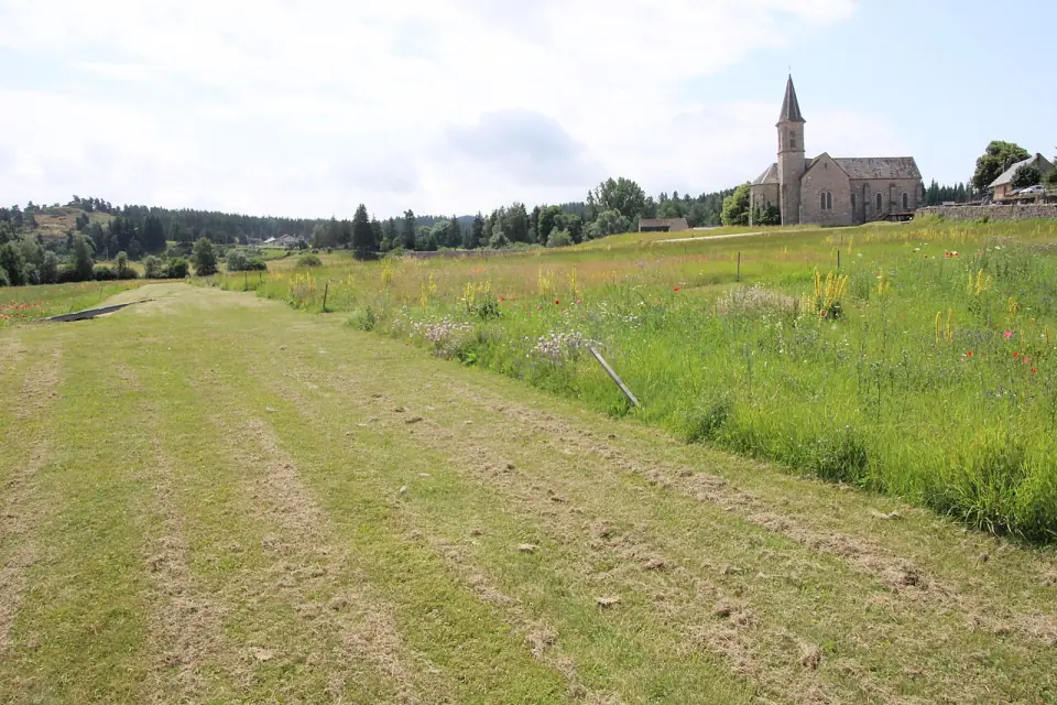 Rue tondue de l'ancienne Anderitum, bordée de prairie fleurie, avec l'église de Javols au fond