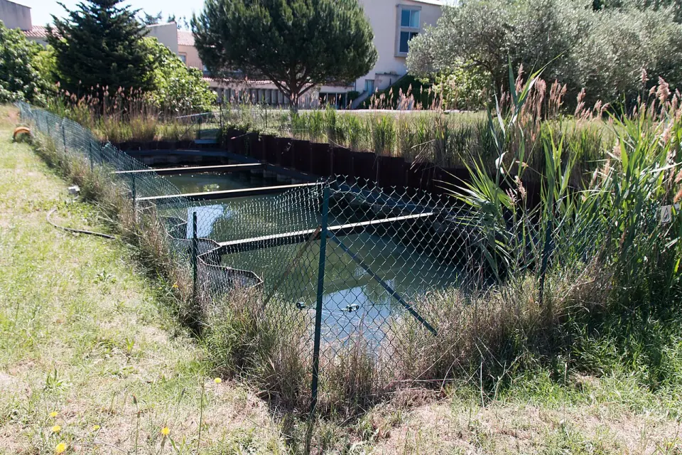 Zone de fouille grillagée où l'eau recouvre les structures, bordée de roseaux