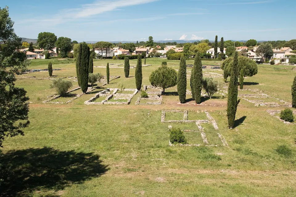Plans de maisons de pierre dégagés dans l'herbe à Lattara, ponctués de cyprès et de pins
