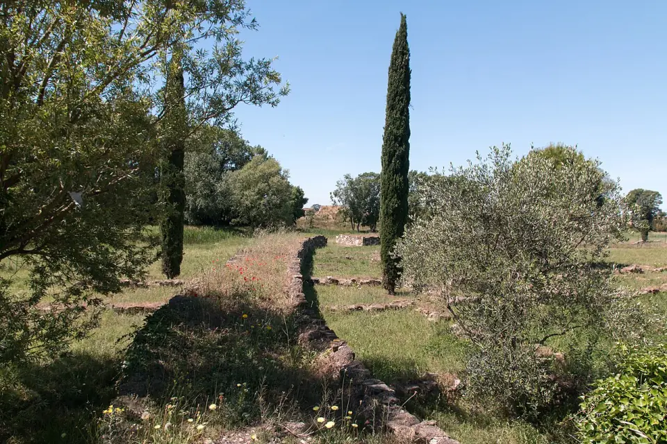 Mur de pierre bordé de coquelicots, d'un cyprès et d'un olivier sur le site de Lattara
