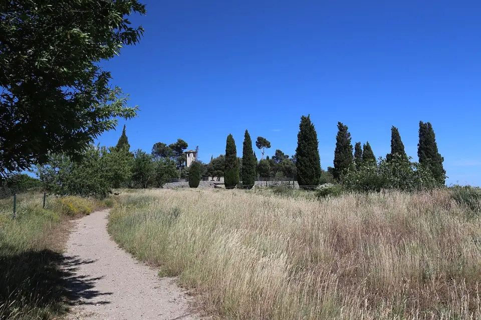 Chemin menant à un bouquet de cyprès sur la colline d'Ensérune, sous un ciel bleu