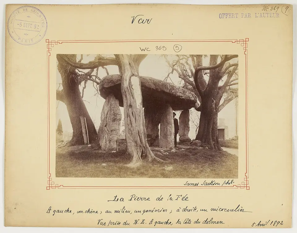 Photographie de 1892 de la Pierre de la Fée vue du nord-est, entre un chêne, un genévrier et un micocoulier
