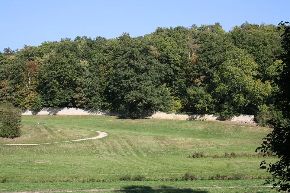 Prairie et lisière de forêt dans le vallon de Port-Royal des Champs, avec un chemin en courbe