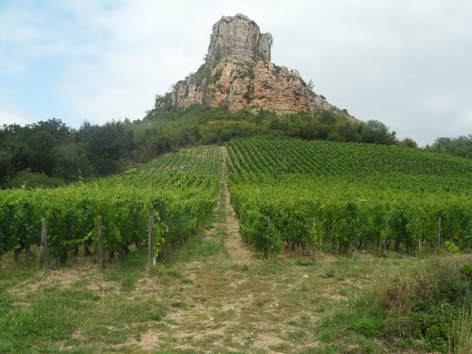 La roche de Solutré et ses vignes, vues depuis le sud-ouest