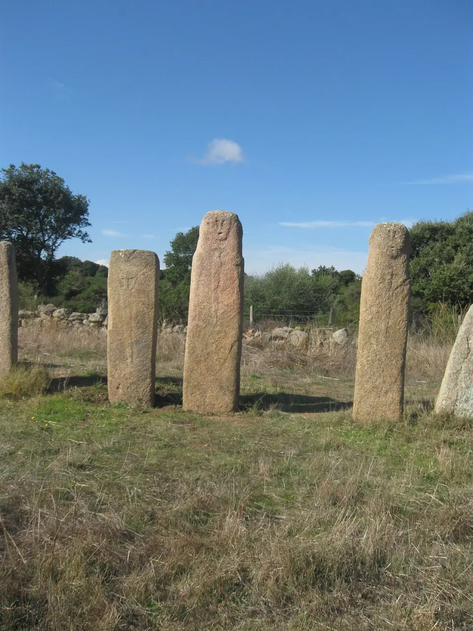 Rangée de menhirs d'I Stantari vue de face, sur le plateau de Cauria