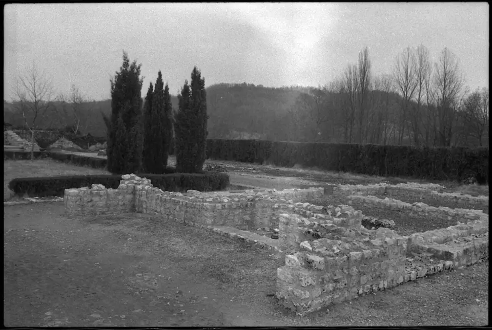 Fondations en pierre de la villa de Montmaurin devant une haie et des cyprès, photographie en noir et blanc de 1974