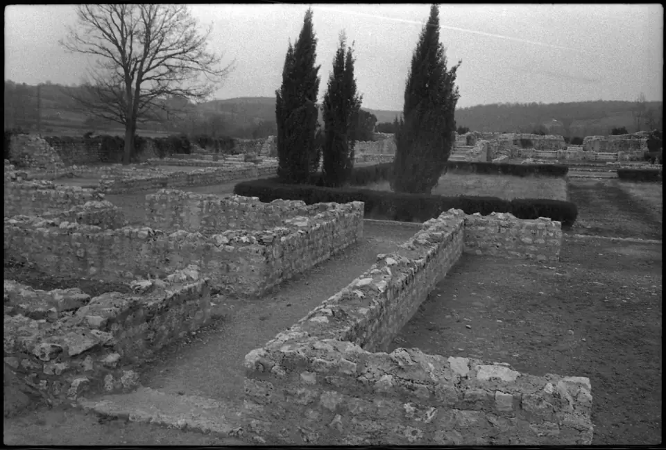 Murs de pierre de la villa gallo-romaine de Montmaurin et rangée de cyprès, photographie en noir et blanc de 1974